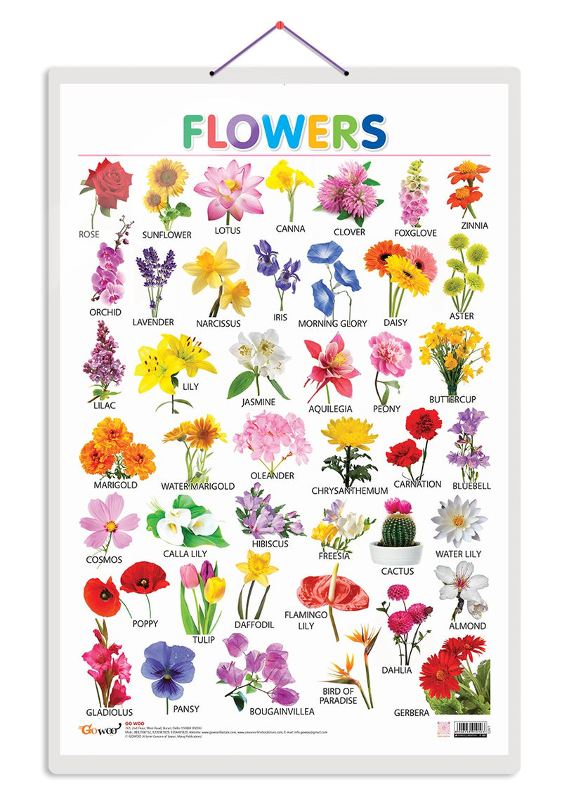 GOWOO - Flowers