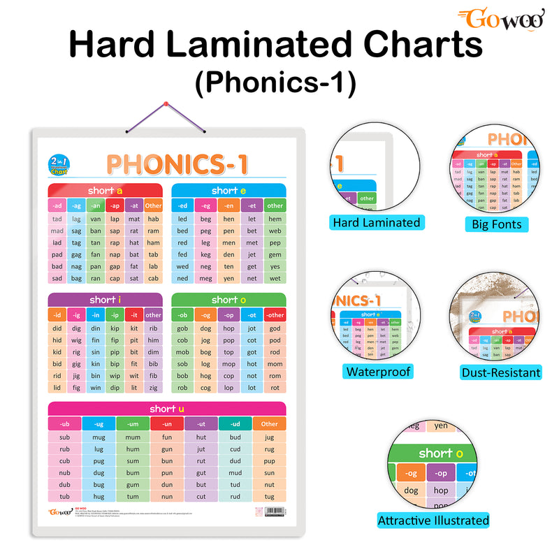 Set of 4 |  2 IN 1 COLOURS AND SHAPES, 2 IN 1 FRUITS AND VEGETABLES, 2 IN 1 WILD AND FARM ANIMALS & PETS and 2 IN 1 PHONICS 1 AND PHONICS 2 Early Learning Educational Charts for Kids