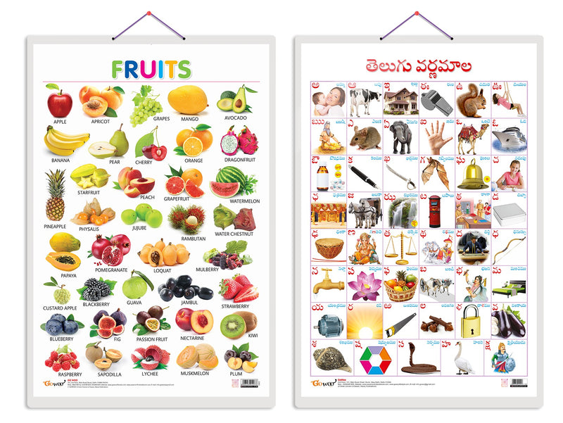 Set of 2 Fruits and Telugu Alphabet?(Telugu) Early Learning Educational Charts for Kids | 20"X30" inch |Non-Tearable and Waterproof | Double Sided Laminated | Perfect for Homeschooling, Kindergarten and Nursery Students