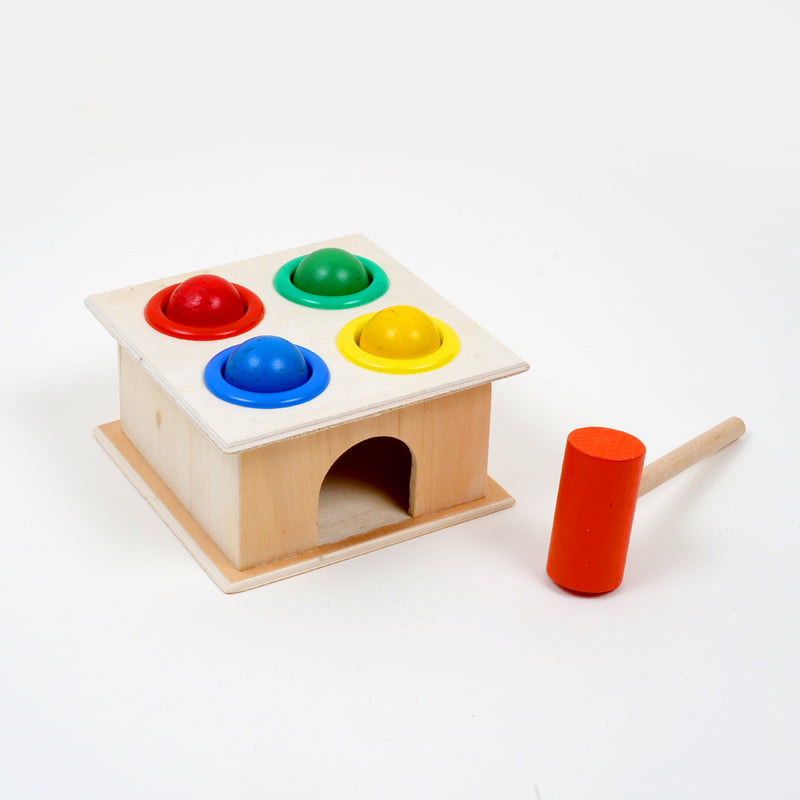 Montessori Activity Toys - 16 Months