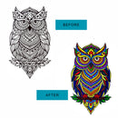 JoGenii Mandala Affirmations Poster Coloring Kit – Animal Theme