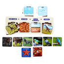 JoGenii Wooden Animal World Self Correcting Activity Game (30 pcs) (3 to 6 years)