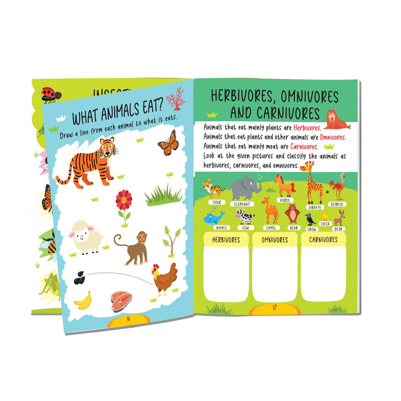 Science Activity Book Age 5+