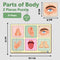 Mini Leaves 2 Piece Puzzle Human Body Parts Jigsaw Puzzle - Set of 6