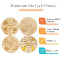Montessori Life Cycle Puzzle | DIY Coloring Activity (36 Pieces) - Frog, Plant, Chicken & Butterfly