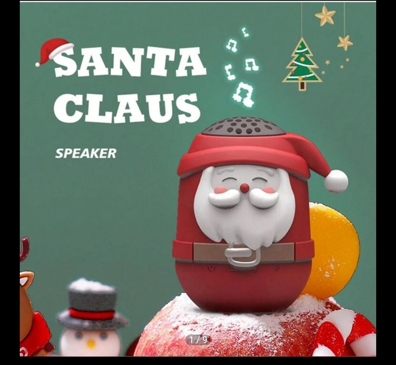 Santa Stereo Accoustics system
