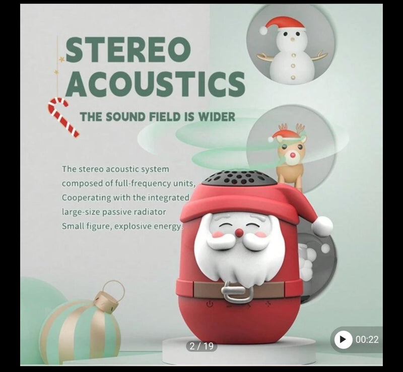 Santa Stereo Accoustics system