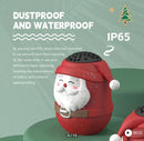 Santa Stereo Accoustics system