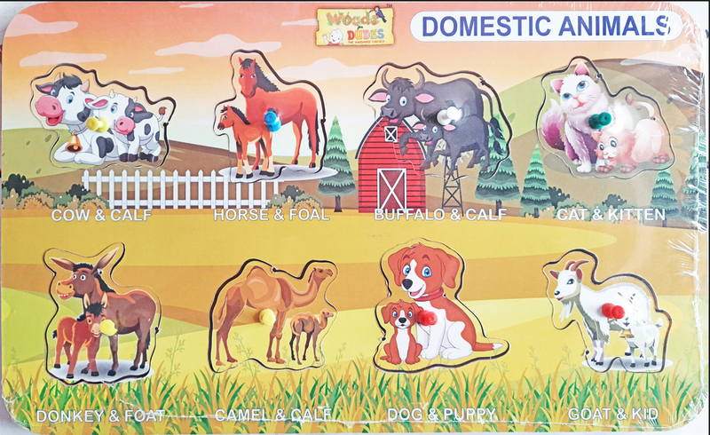 DOMESTIC ANIMALS