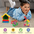 Little Berry 5-in-1 Ultimate Building Blocks Set for Kids - Education & Learning Blocks (250+ pcs)