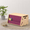 Aqua Plum Toy Chest-Pink