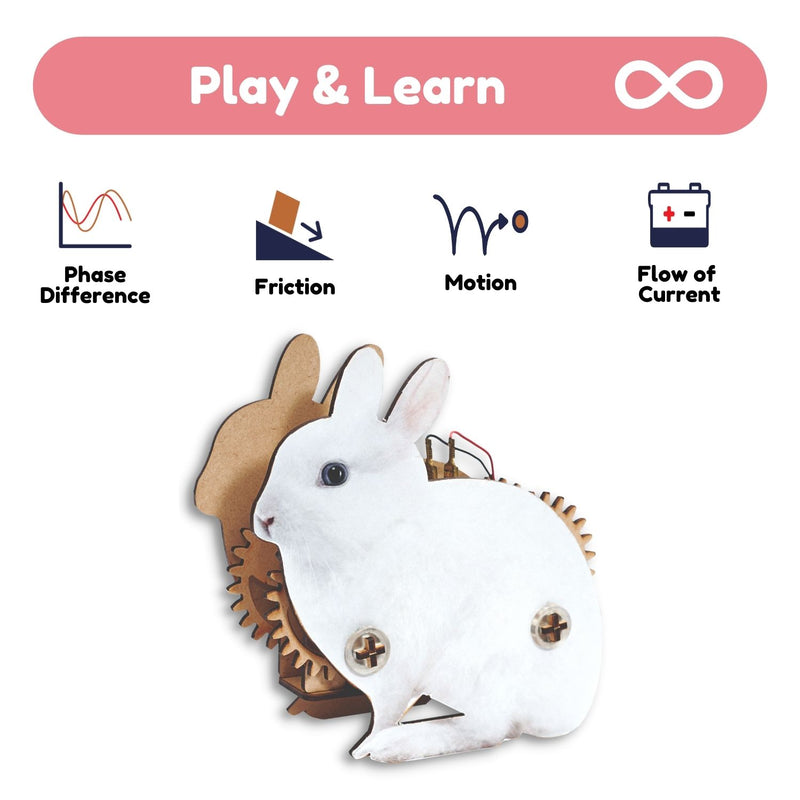 Hoppity Rabbit