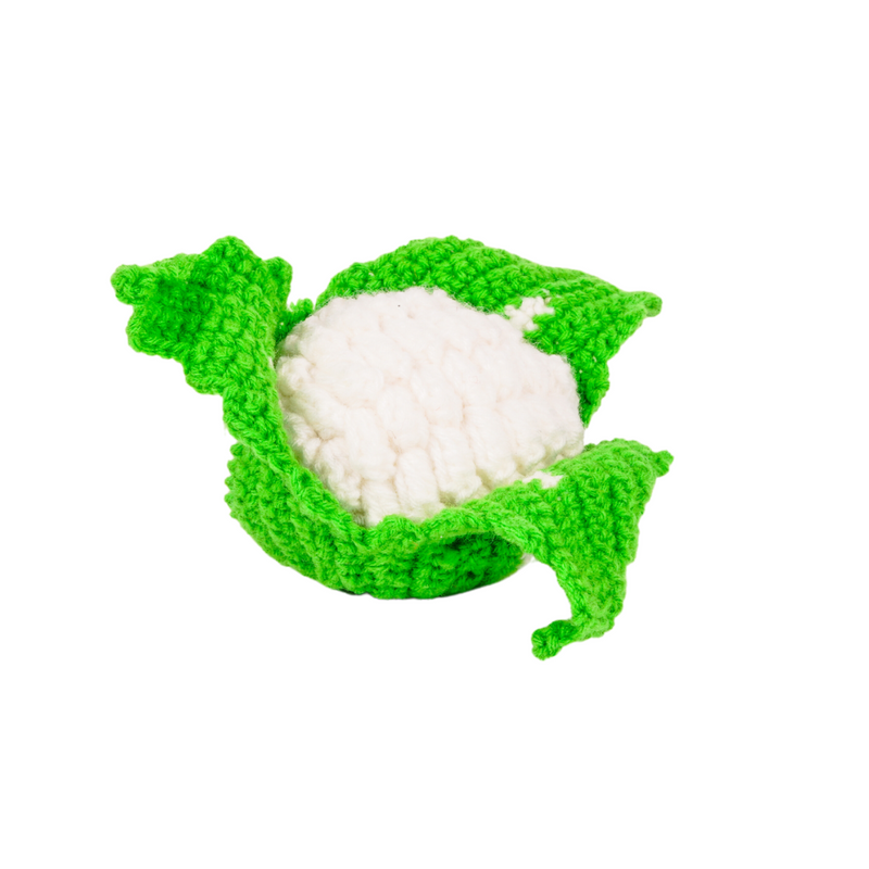 Crochet Vegetable Toys | Play Food for Kids (5 Pcs)