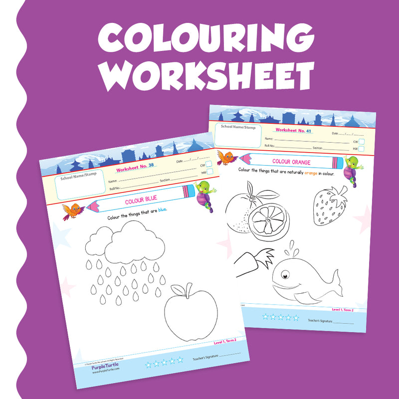 Purple Turtle Worksheets for Nursery Kids (3-4 Years)