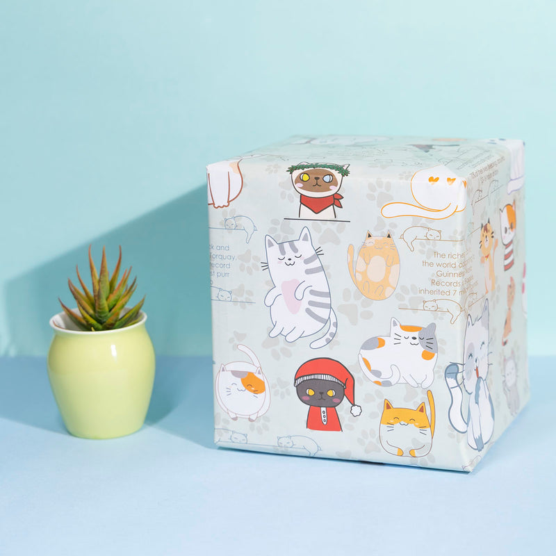 eVincE set of 10 Informative Cat Gift Wrapping Paper | 70 x  50 cm | For all Occasion Celebration