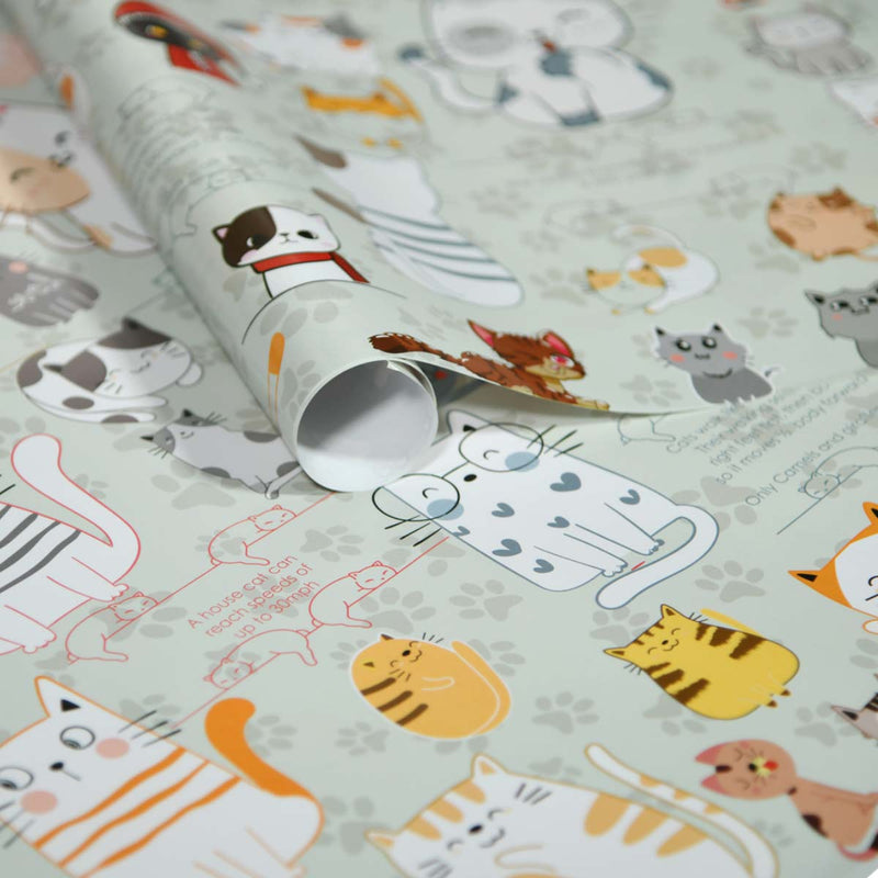 eVincE set of 10 Informative Cat Gift Wrapping Paper | 70 x  50 cm | For all Occasion Celebration