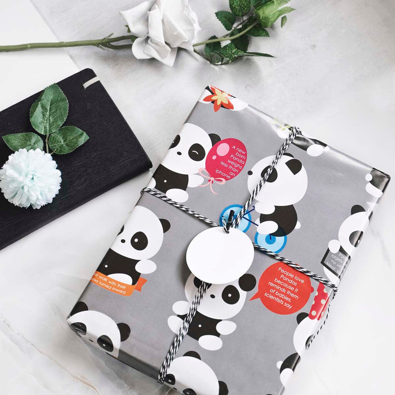 eVincE Birthday Gift Wrapping Paper for kids | 3 designs, 15 Wraps | Panda Cat Fish | 70 x 50 cms