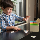 Sort in The Box - Fun Sorting and Matching Learning Activity