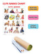 Cute Babies : Reference Educational Wall Chart By Dreamland Publications 9788184511192