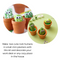 DIY Cactus Rock Planter Painting Set