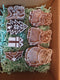 Wooden Stamps christmas and Peppa