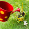 kids plant pot and watering can