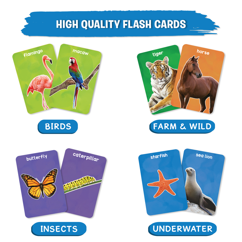 Flash cards : First 100 Animals