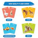 Flash cards : Animals & Their Babies