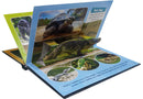 Jungle - 3D Pop-up Book