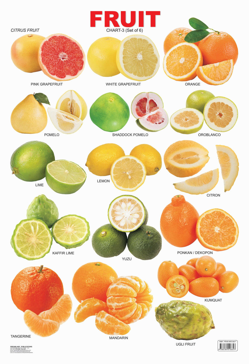 Fruit Chart - 3 : Reference Educational Wall Chart By Dreamland Publications 9788184516647