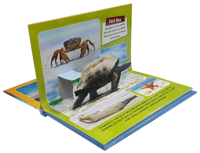 Sea World - 3D Pop-up Book