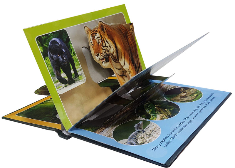 Jungle - 3D Pop-up Book