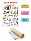 Birds-2 : Reference Children Book By Dreamland Publications