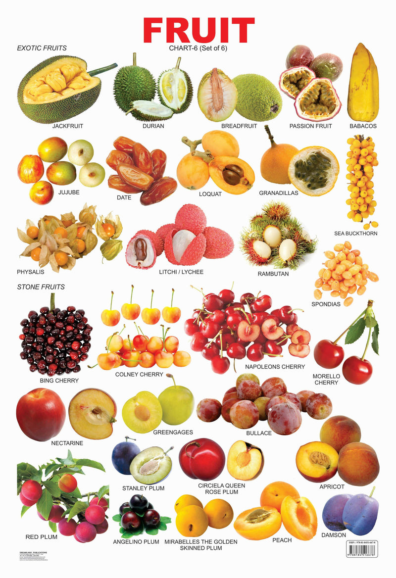 Fruit Chart - 6 : Reference Educational Wall Chart By Dreamland Publications 9788184516678