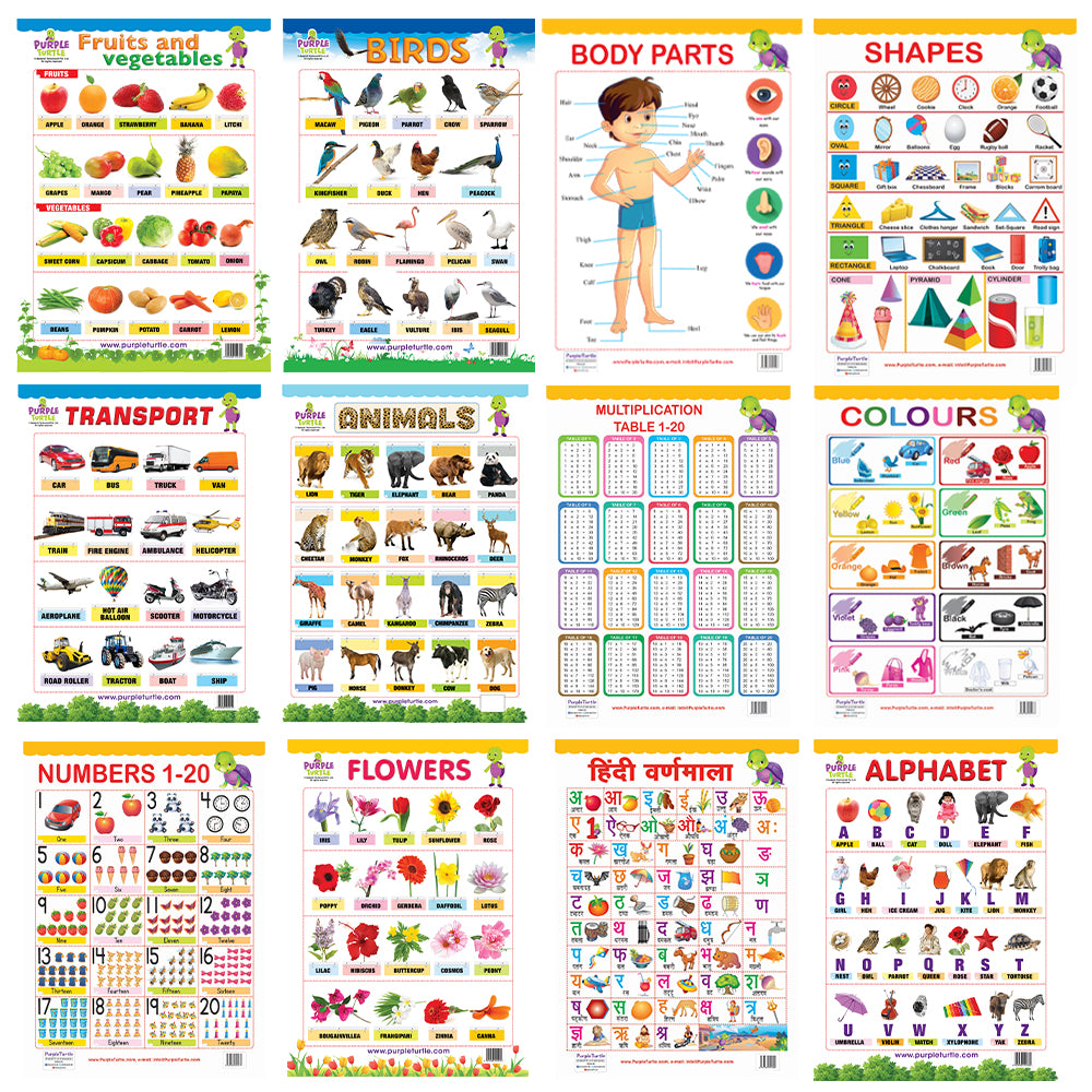 Educational Charts For Nursery at Zoe Nanya blog
