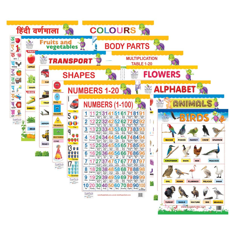 Early Learning Educational Charts for kids Perfect for Preschool, Homeschooling and Nursery Student