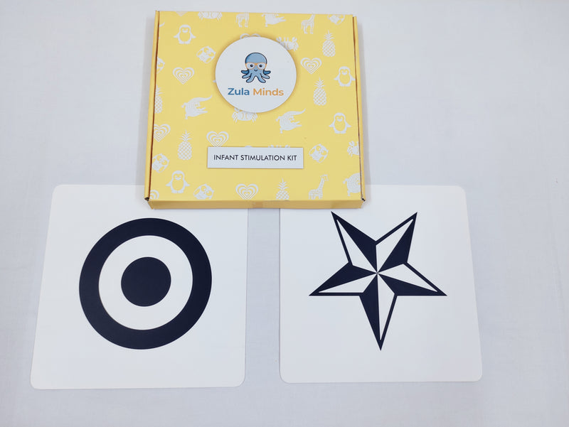 ZulaMinds Infant Stimulation Kit 1 - JUMBO size 10 card kit