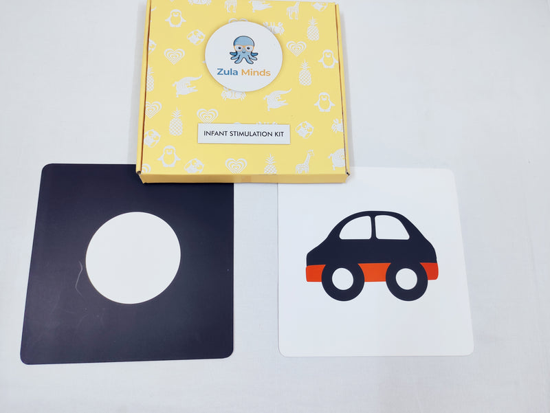 ZulaMinds Infant Stimulation Kit 1 - JUMBO size 10 card kit