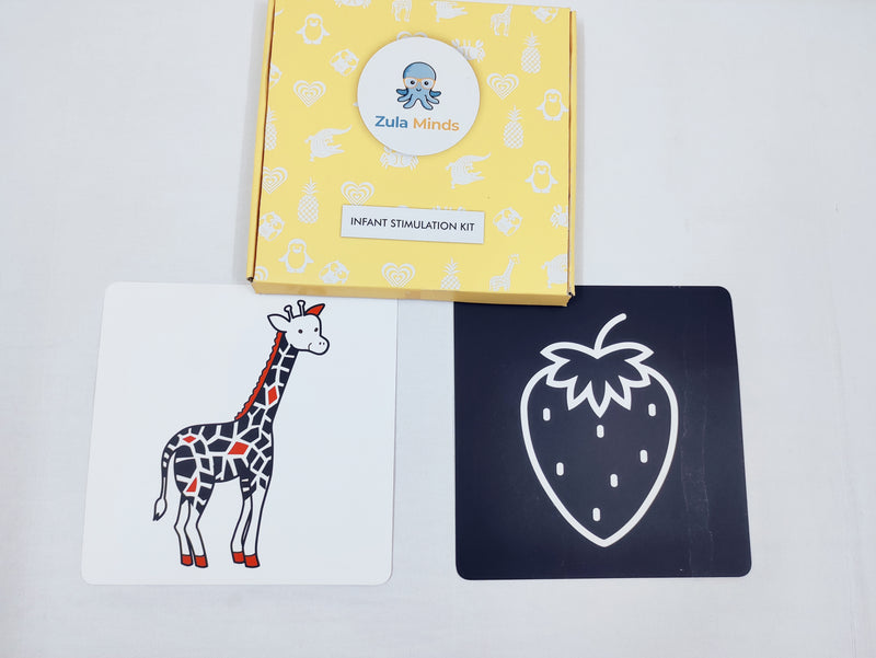 ZulaMinds Infant Stimulation Kit 2 - JUMBO size 10 card kit