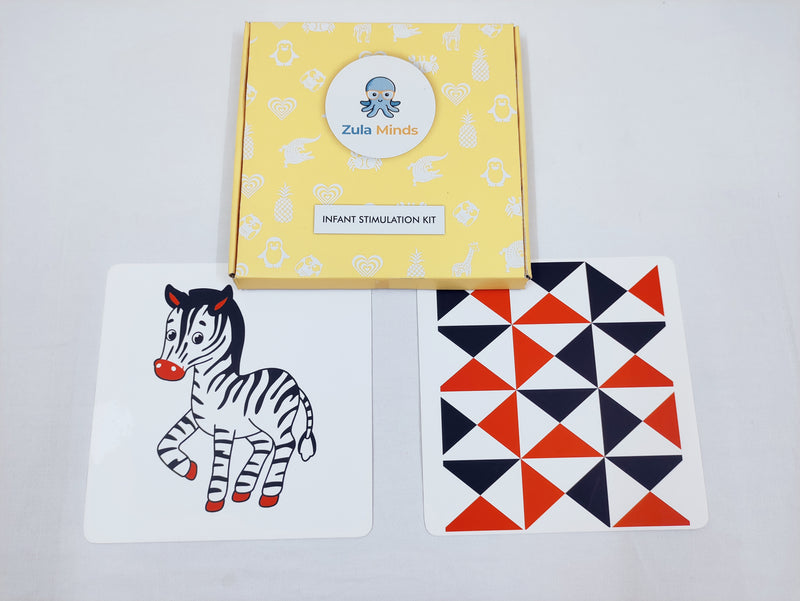 ZulaMinds Infant Stimulation Kit 2 - JUMBO size 10 card kit