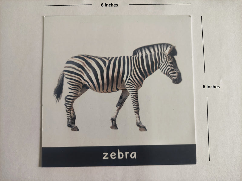 ZulaMinds Animal Flashcards