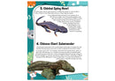 101 Amazing Animals - Encyclopedia for 7 to 10 year old kids