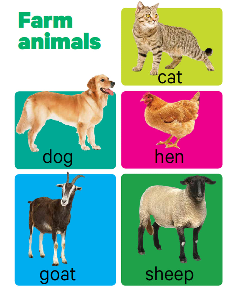 Early Learning Animals - Board Book