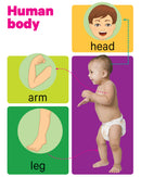 Early Learning Human Body - Board Book
