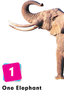 A to Z Learning - Numbers (A to Z Learning Series)