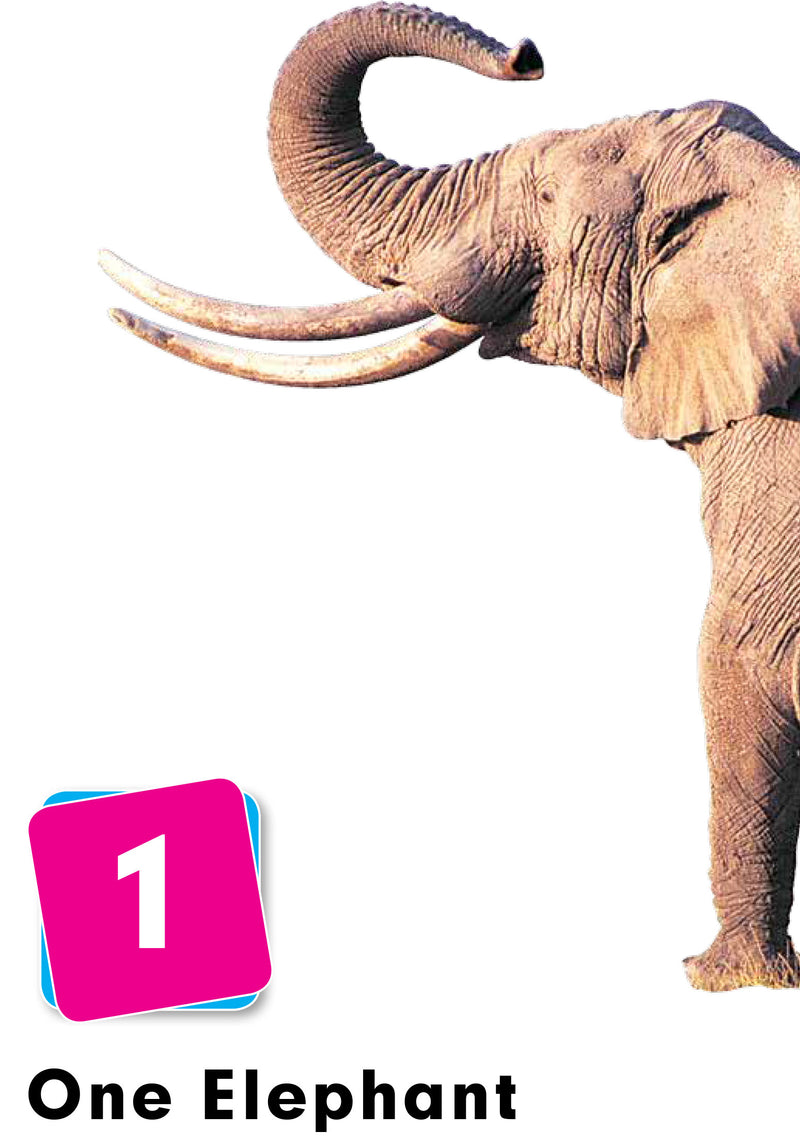 A to Z Learning - Numbers (A to Z Learning Series)