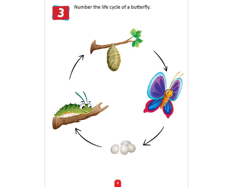 Science Activity Book