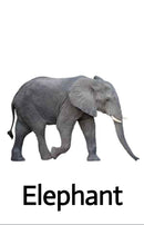 ABC - 36 AR Flash Cards for Children
