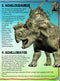 365 Dinosaurs - Premium Quality Padded & Glittered Book