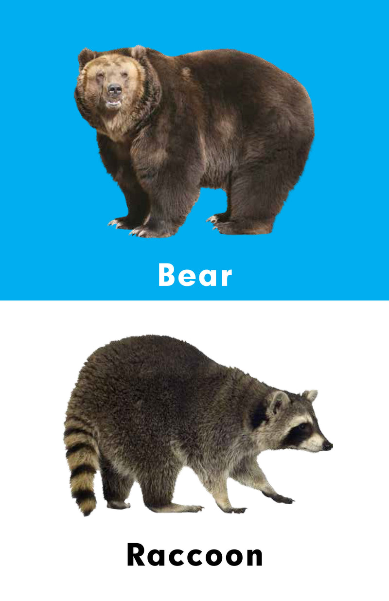 A to Z Learning - Wild Animals